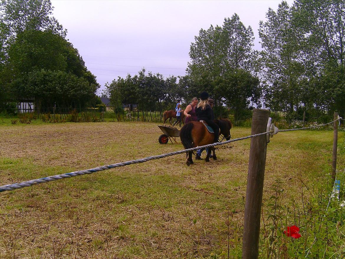 Ridelejre hos Mette Hald Ramussen billede 57