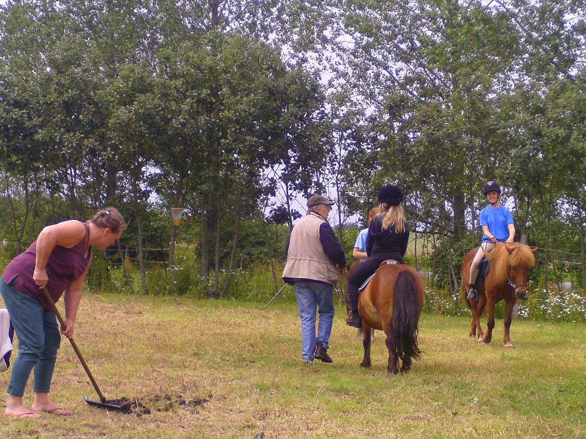 Ridelejre hos Mette Hald Ramussen billede 58