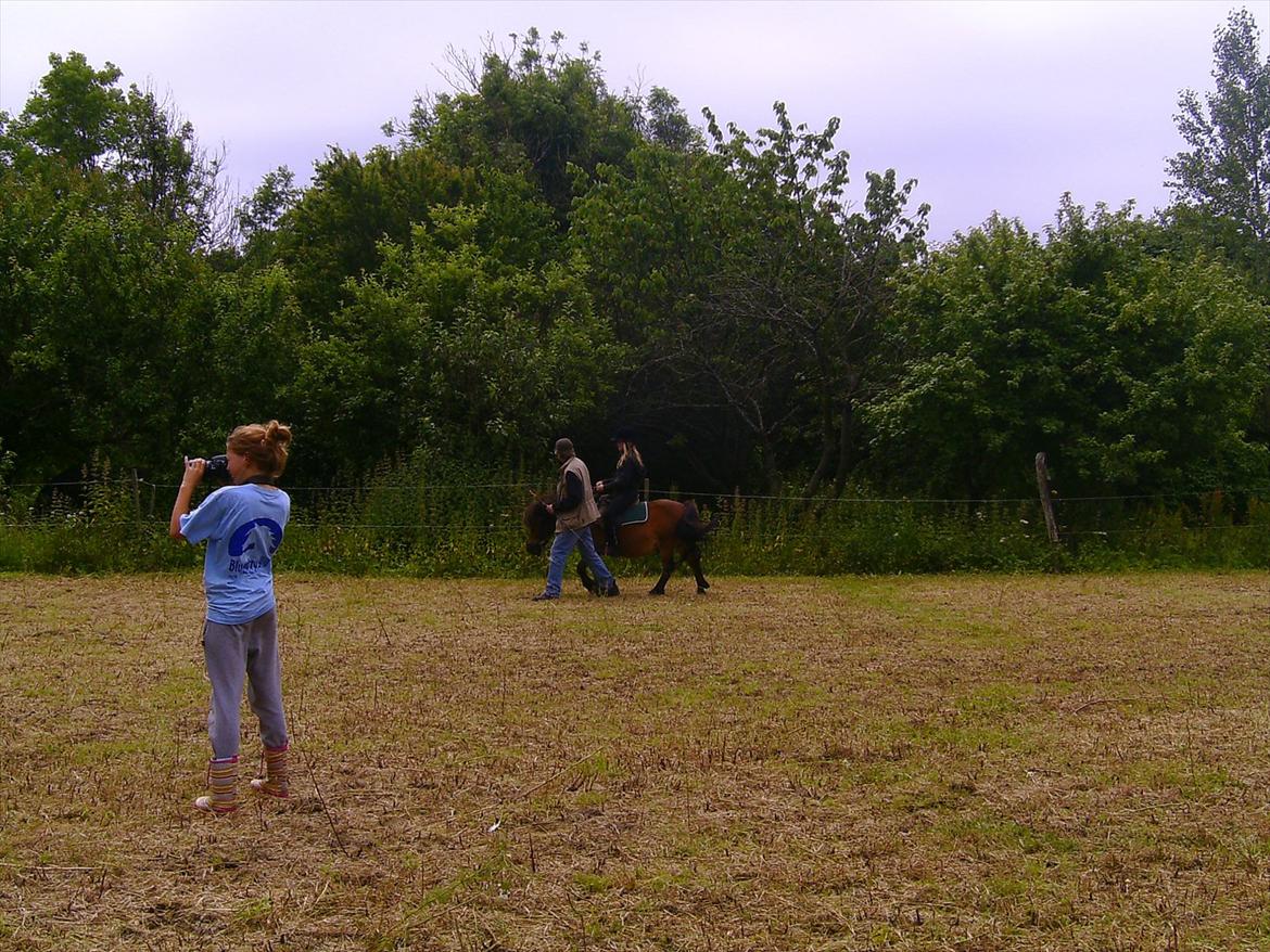 Ridelejre hos Mette Hald Ramussen billede 61