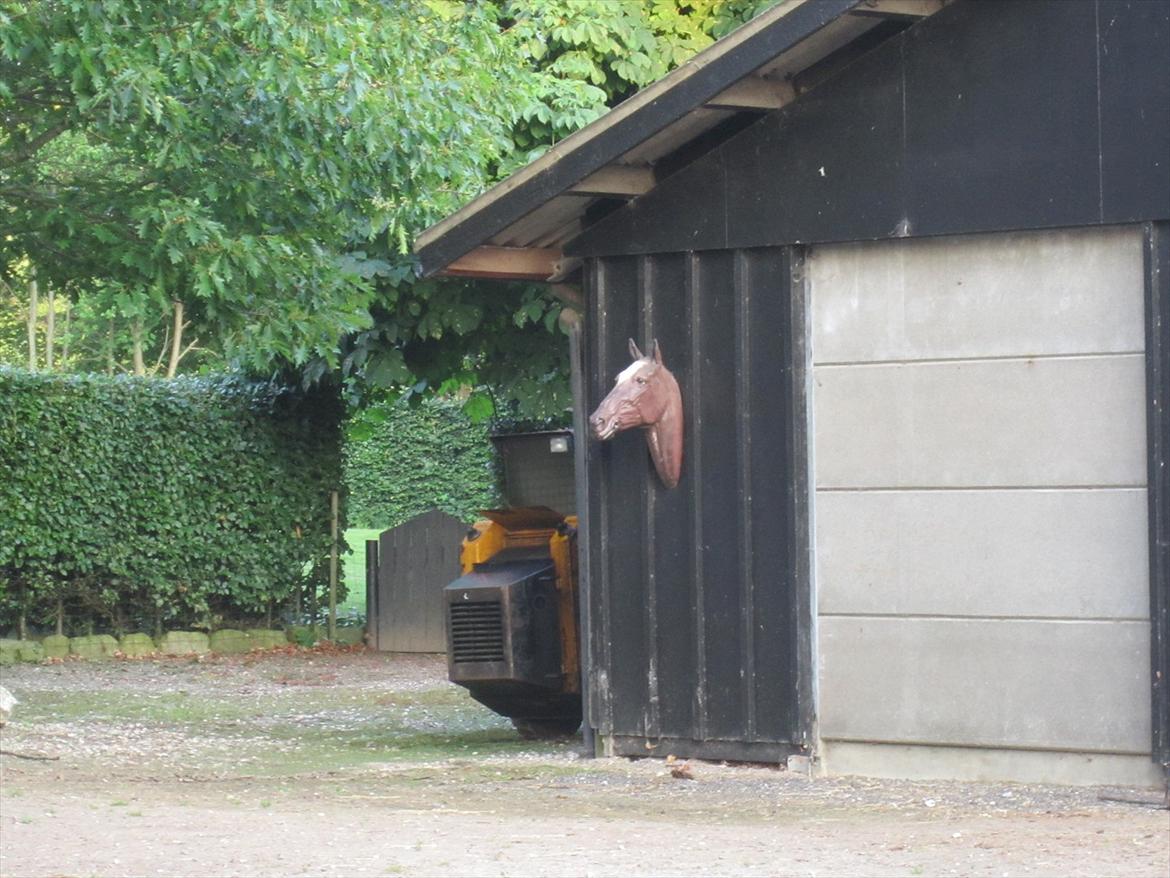 Ridelejr 2011 - Tina Lund - Hest på stald ;) billede 41