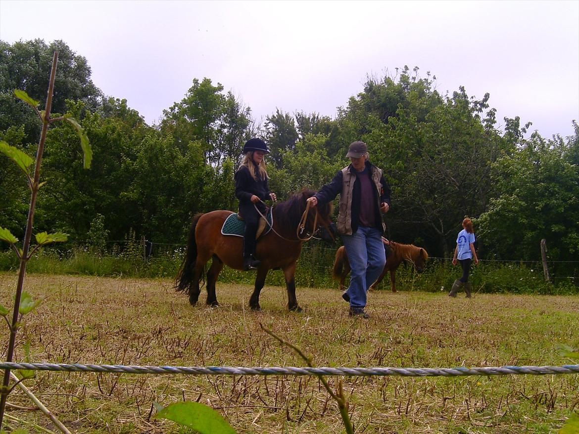 Ridelejre hos Mette Hald Ramussen billede 62