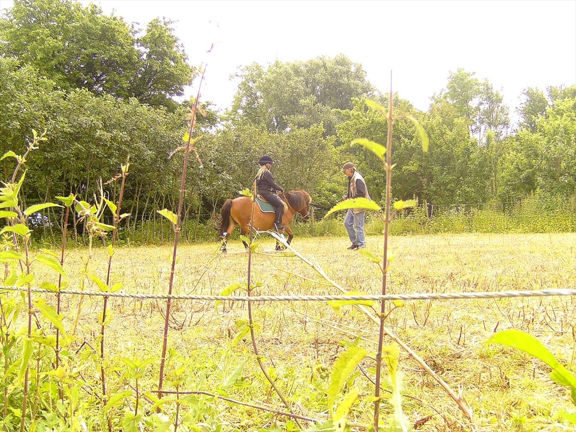 Ridelejre hos Mette Hald Ramussen billede 65