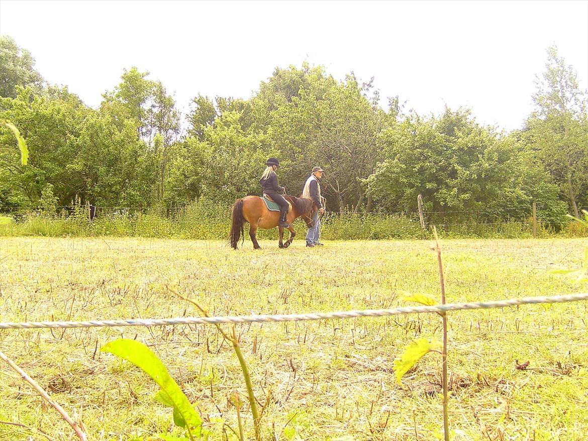 Ridelejre hos Mette Hald Ramussen billede 66