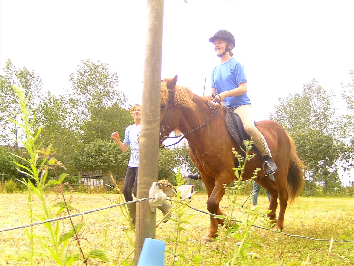 Ridelejre hos Mette Hald Ramussen billede 67