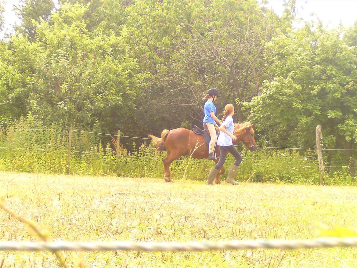 Ridelejre hos Mette Hald Ramussen billede 68