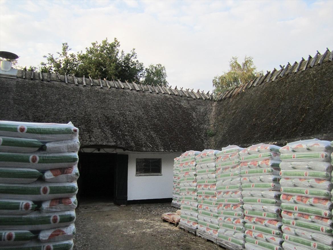 Ridelejr 2011 - Tina Lund - Den gamle stald hvor vores pownier stod ;) billede 44