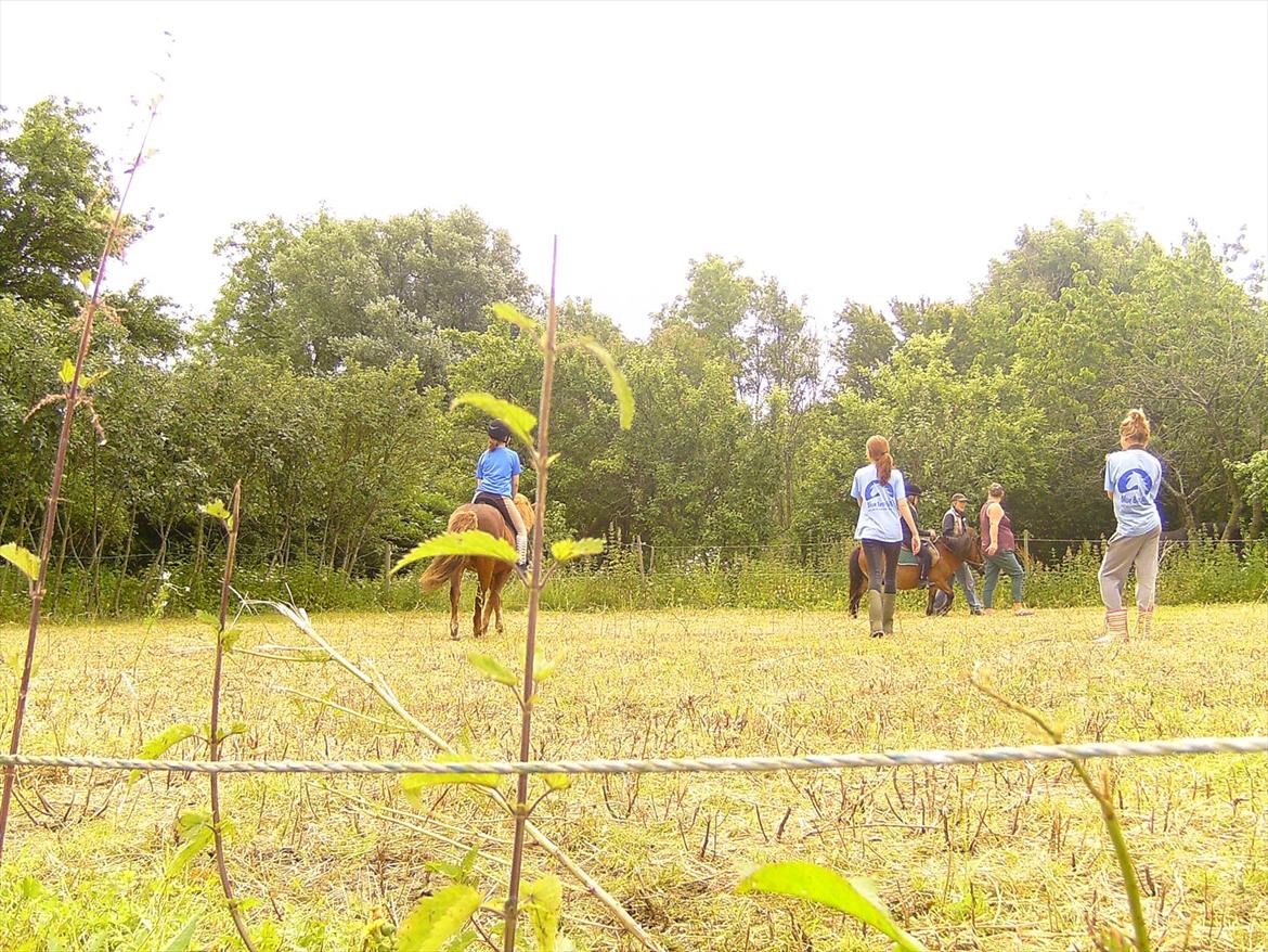 Ridelejre hos Mette Hald Ramussen billede 71