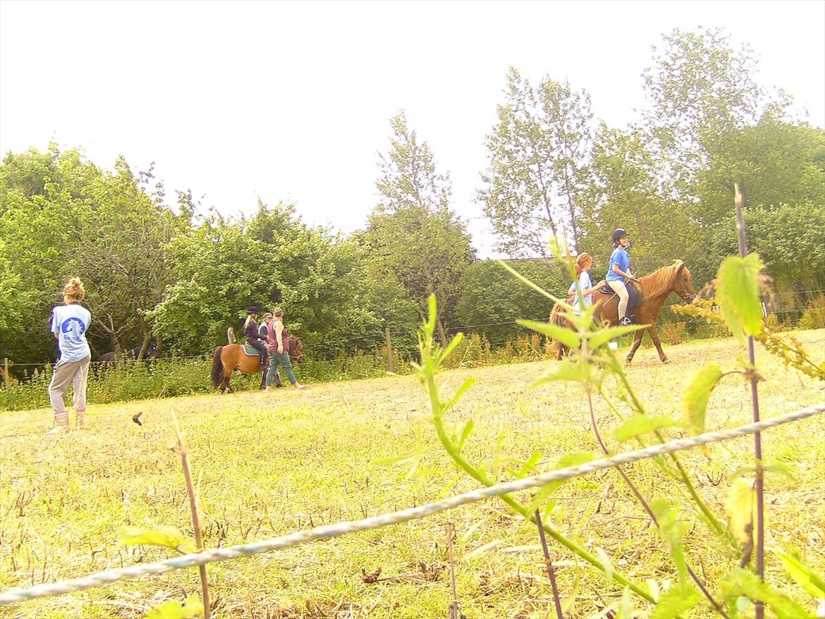 Ridelejre hos Mette Hald Ramussen billede 72