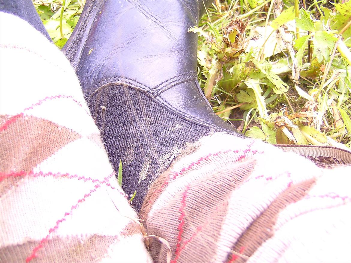 Ridelejre hos Mette Hald Ramussen billede 75