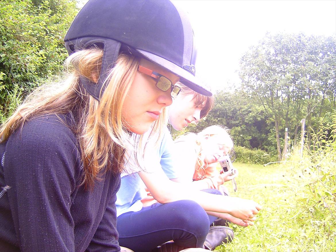 Ridelejre hos Mette Hald Ramussen billede 76