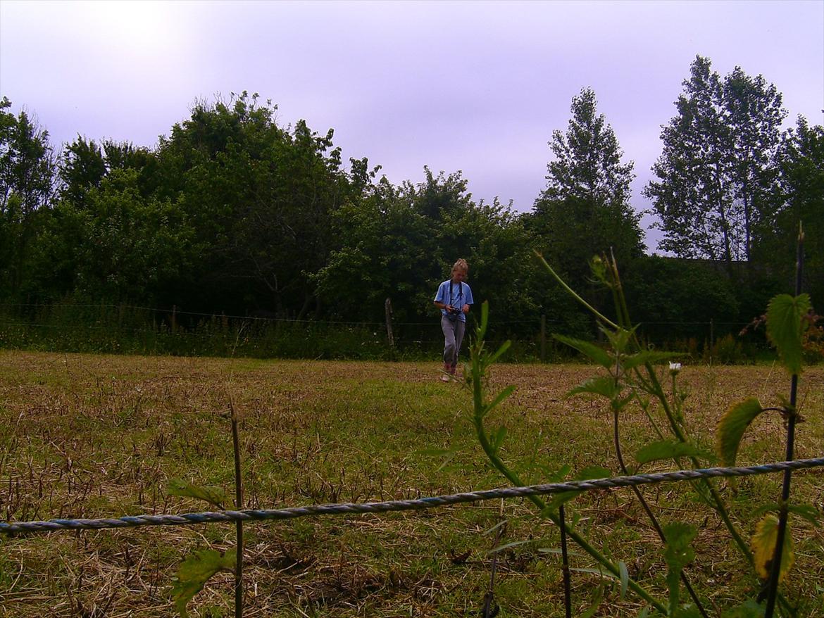 Ridelejre hos Mette Hald Ramussen billede 77