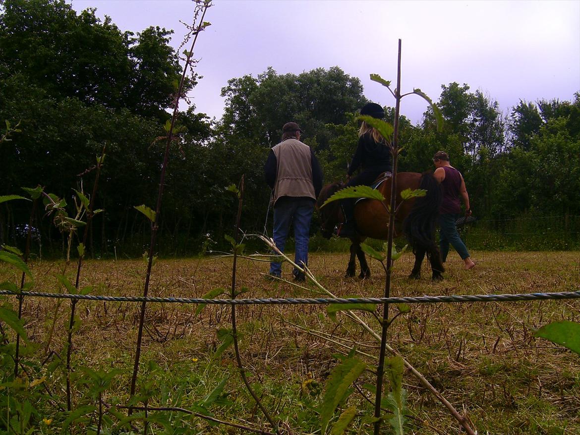 Ridelejre hos Mette Hald Ramussen billede 78