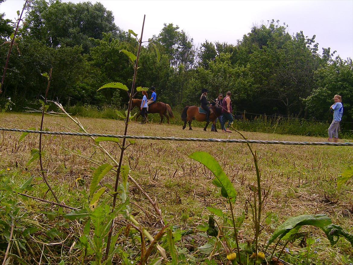 Ridelejre hos Mette Hald Ramussen billede 79