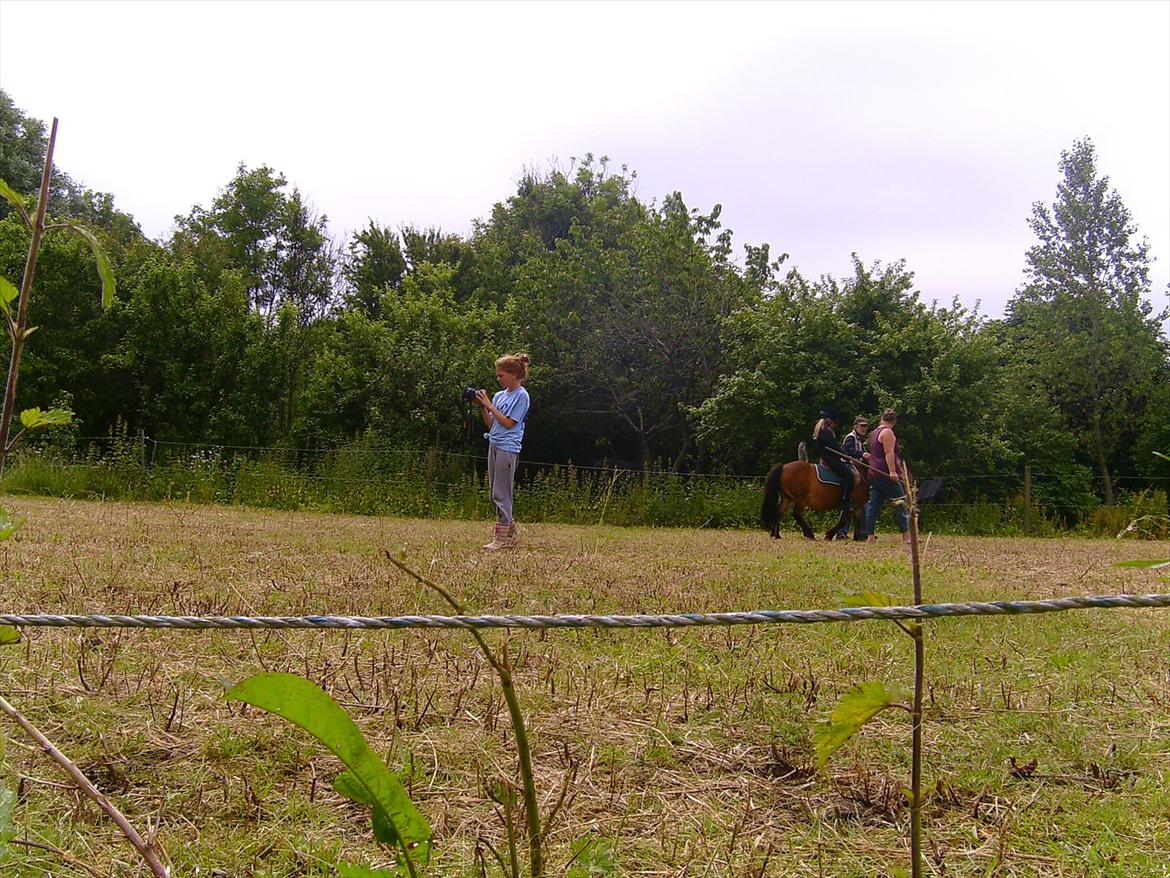 Ridelejre hos Mette Hald Ramussen billede 80