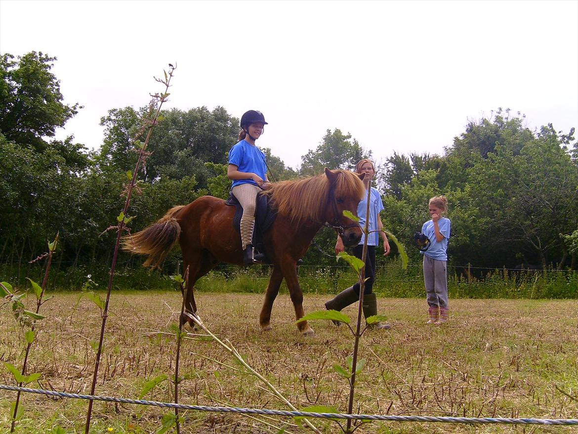 Ridelejre hos Mette Hald Ramussen billede 81