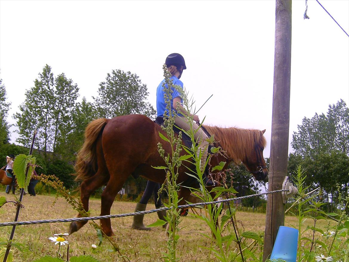 Ridelejre hos Mette Hald Ramussen billede 82