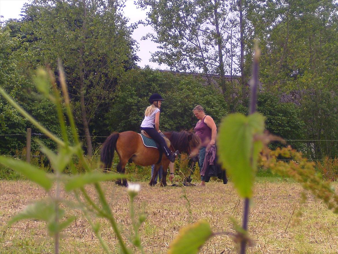 Ridelejre hos Mette Hald Ramussen billede 83