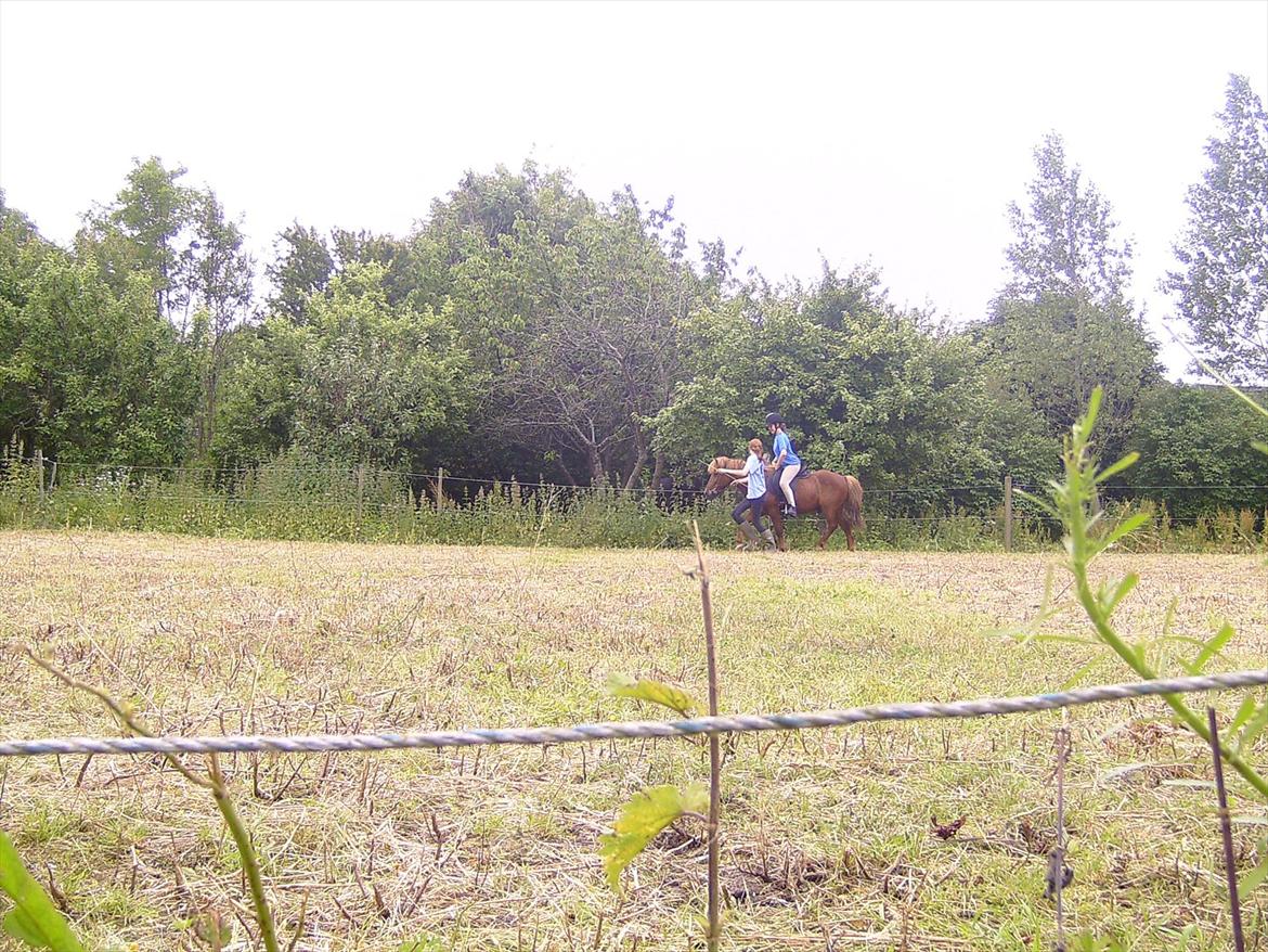 Ridelejre hos Mette Hald Ramussen billede 85