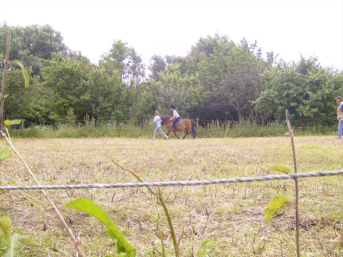 Ridelejre hos Mette Hald Ramussen billede 86