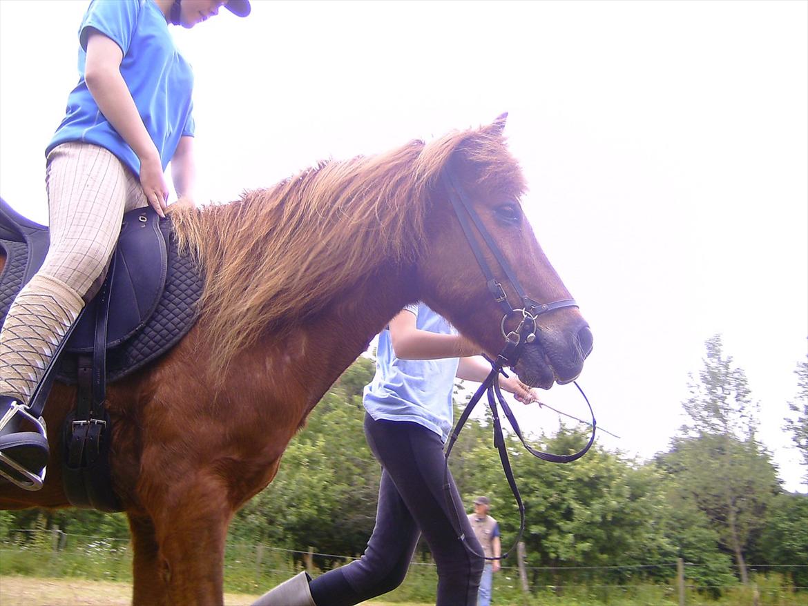 Ridelejre hos Mette Hald Ramussen billede 87