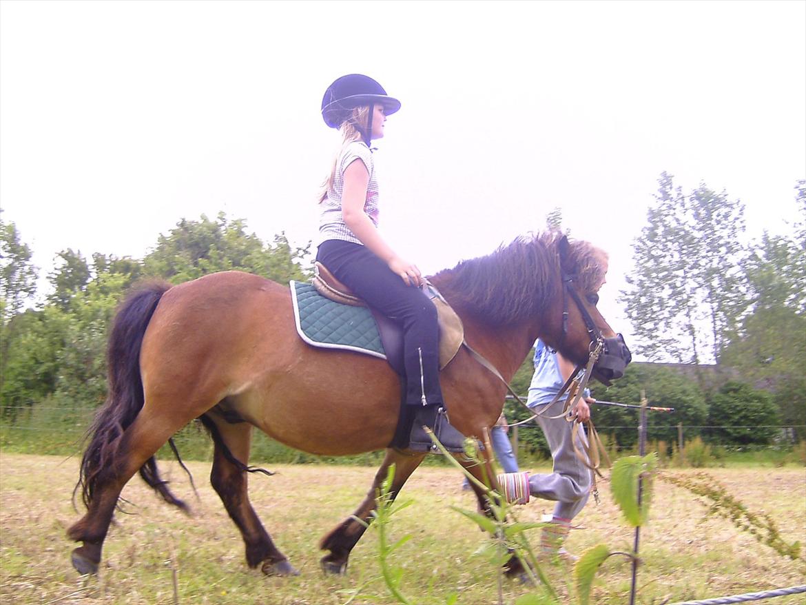 Ridelejre hos Mette Hald Ramussen billede 88