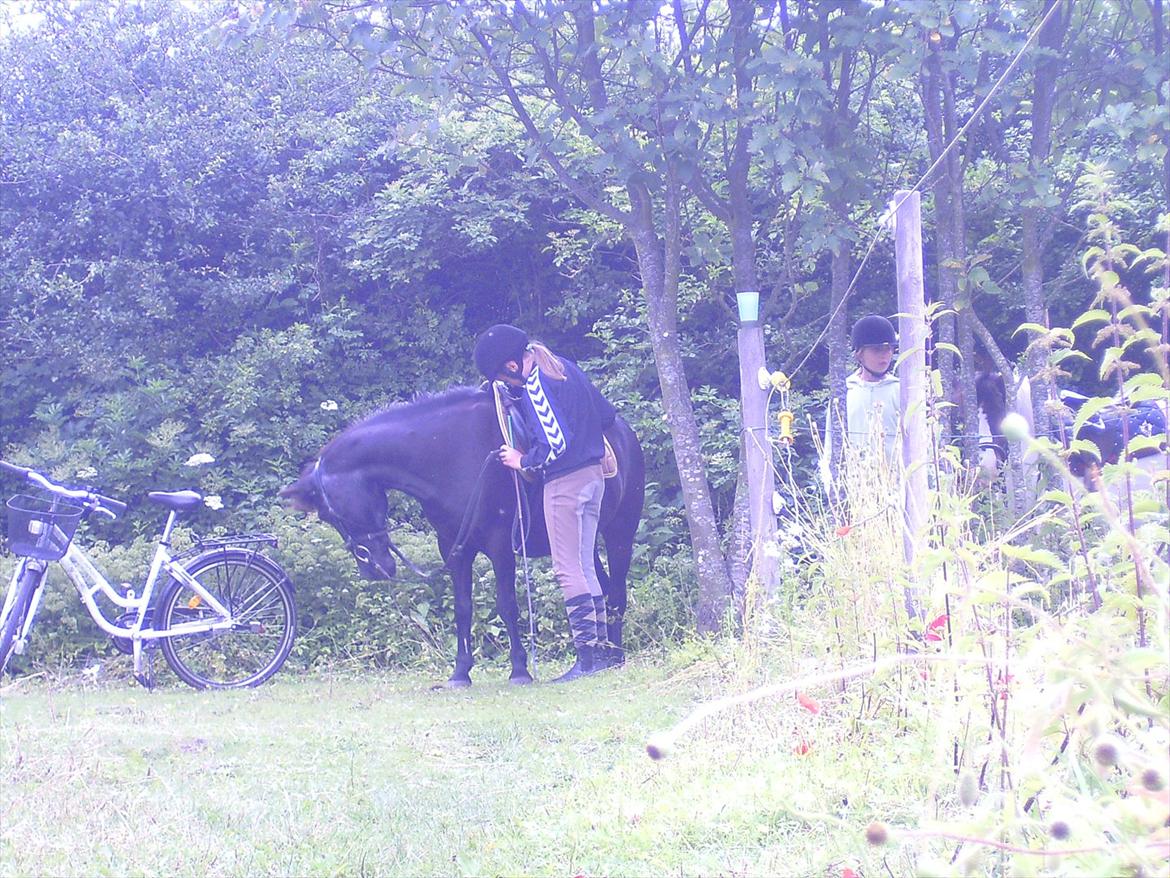 Ridelejre hos Mette Hald Ramussen billede 90