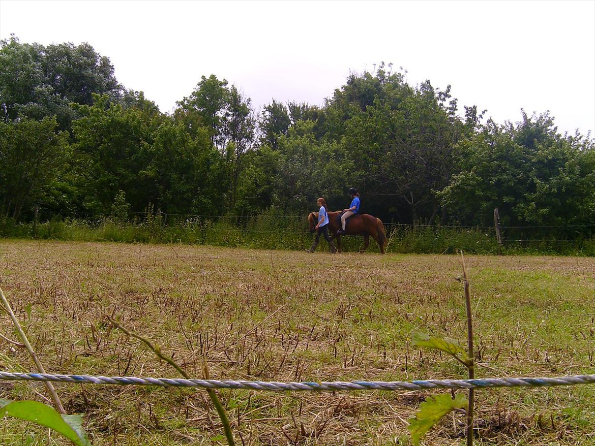 Ridelejre hos Mette Hald Ramussen billede 93