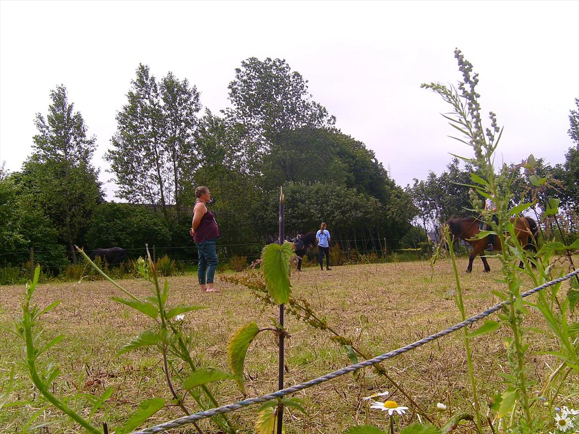 Ridelejre hos Mette Hald Ramussen billede 94