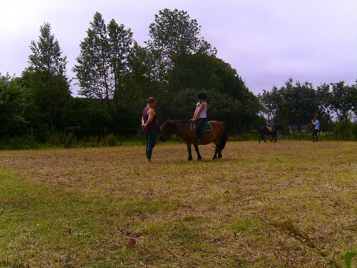 Ridelejre hos Mette Hald Ramussen billede 95