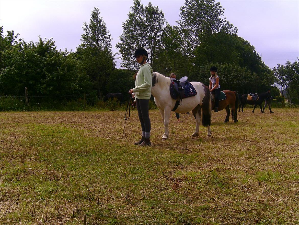 Ridelejre hos Mette Hald Ramussen billede 96