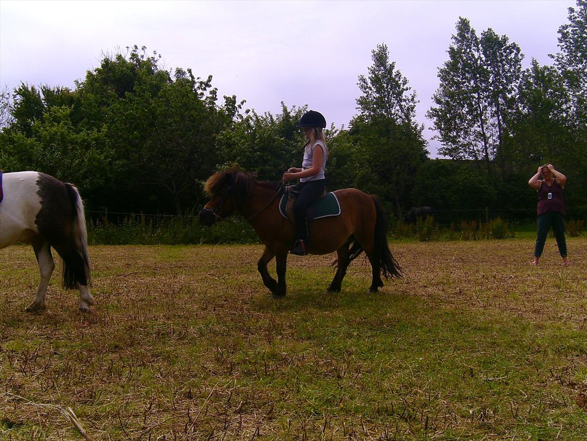 Ridelejre hos Mette Hald Ramussen billede 97