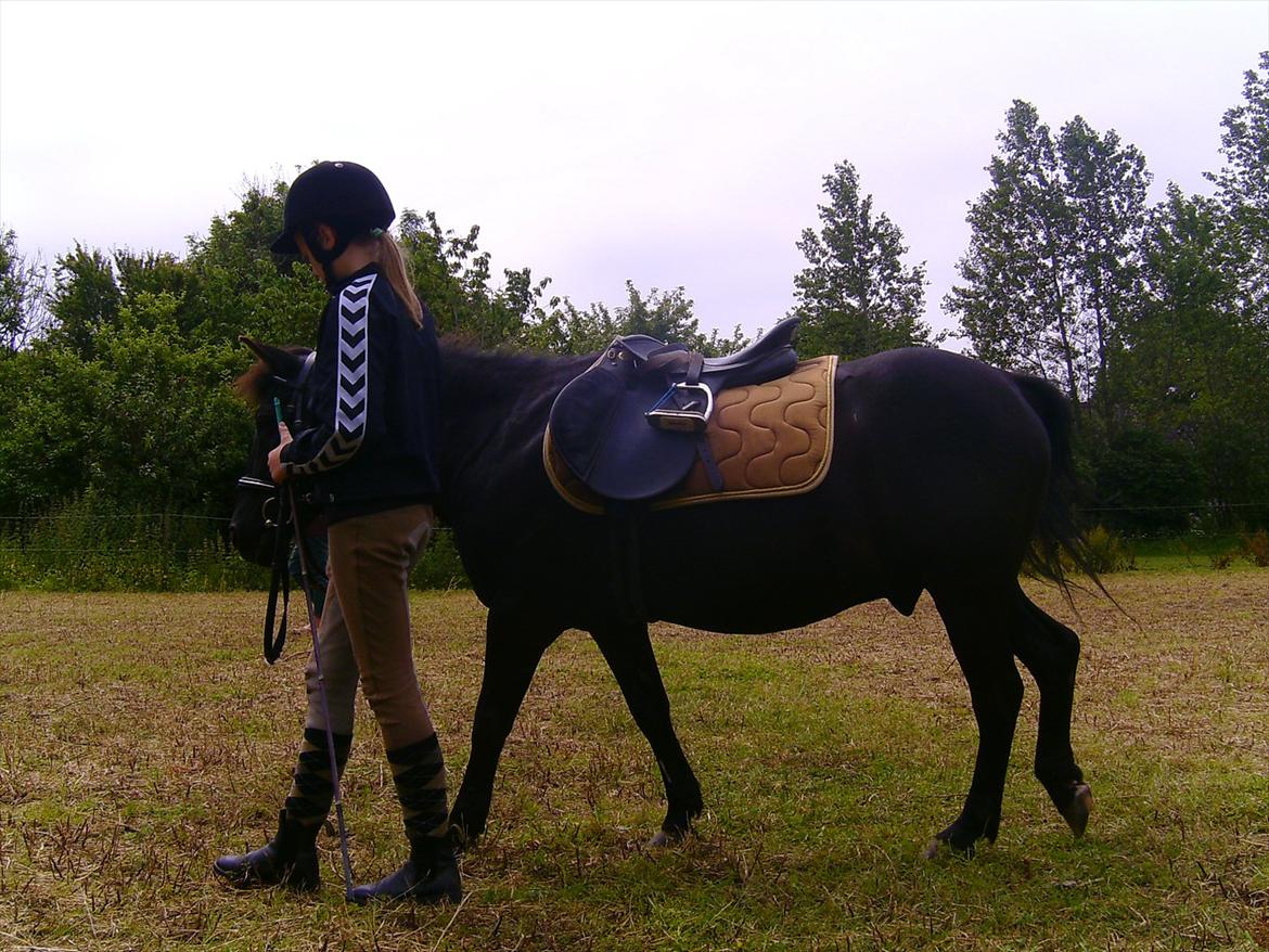 Ridelejre hos Mette Hald Ramussen billede 98