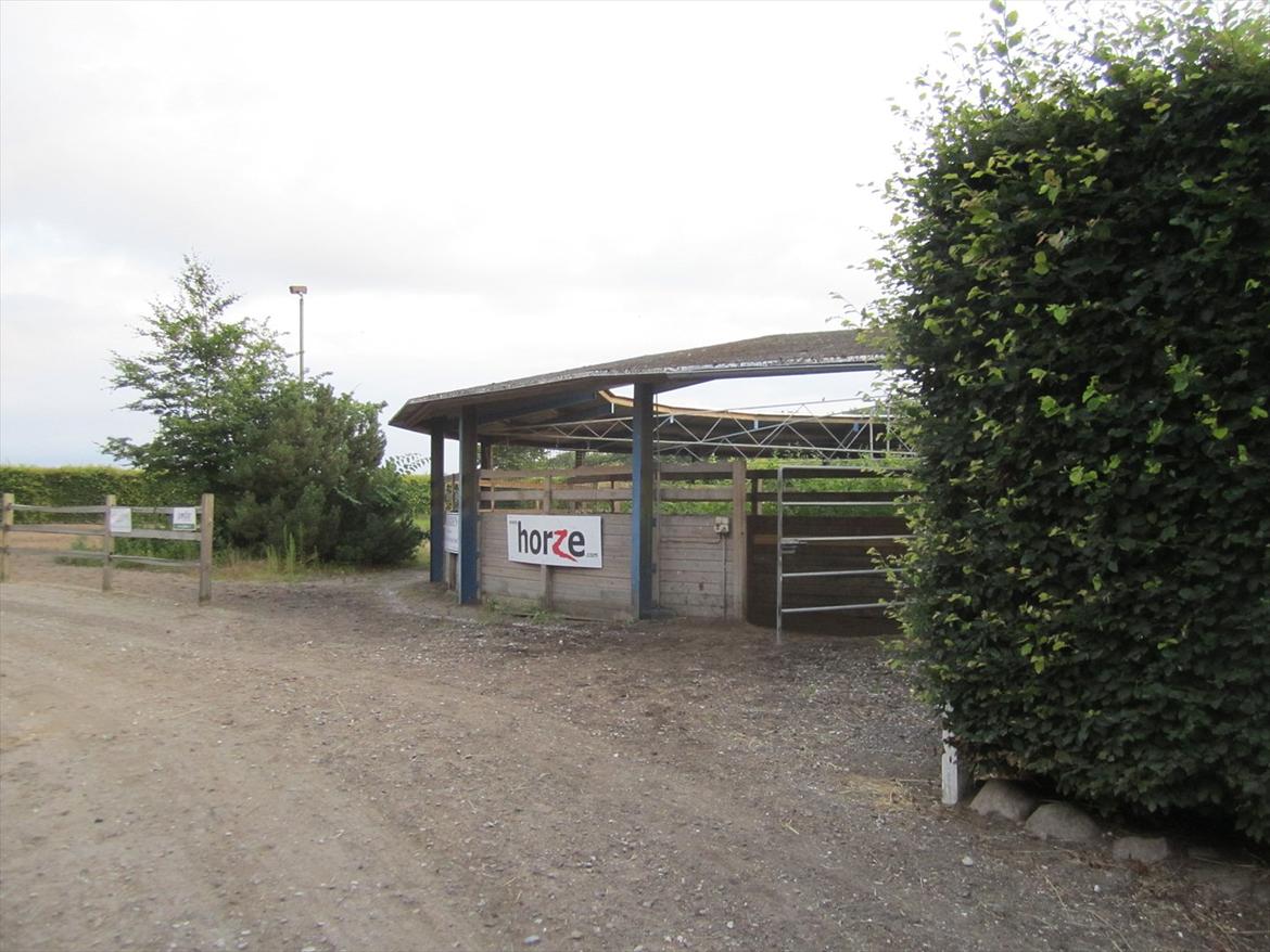 Ridelejr 2011 - Tina Lund billede 60