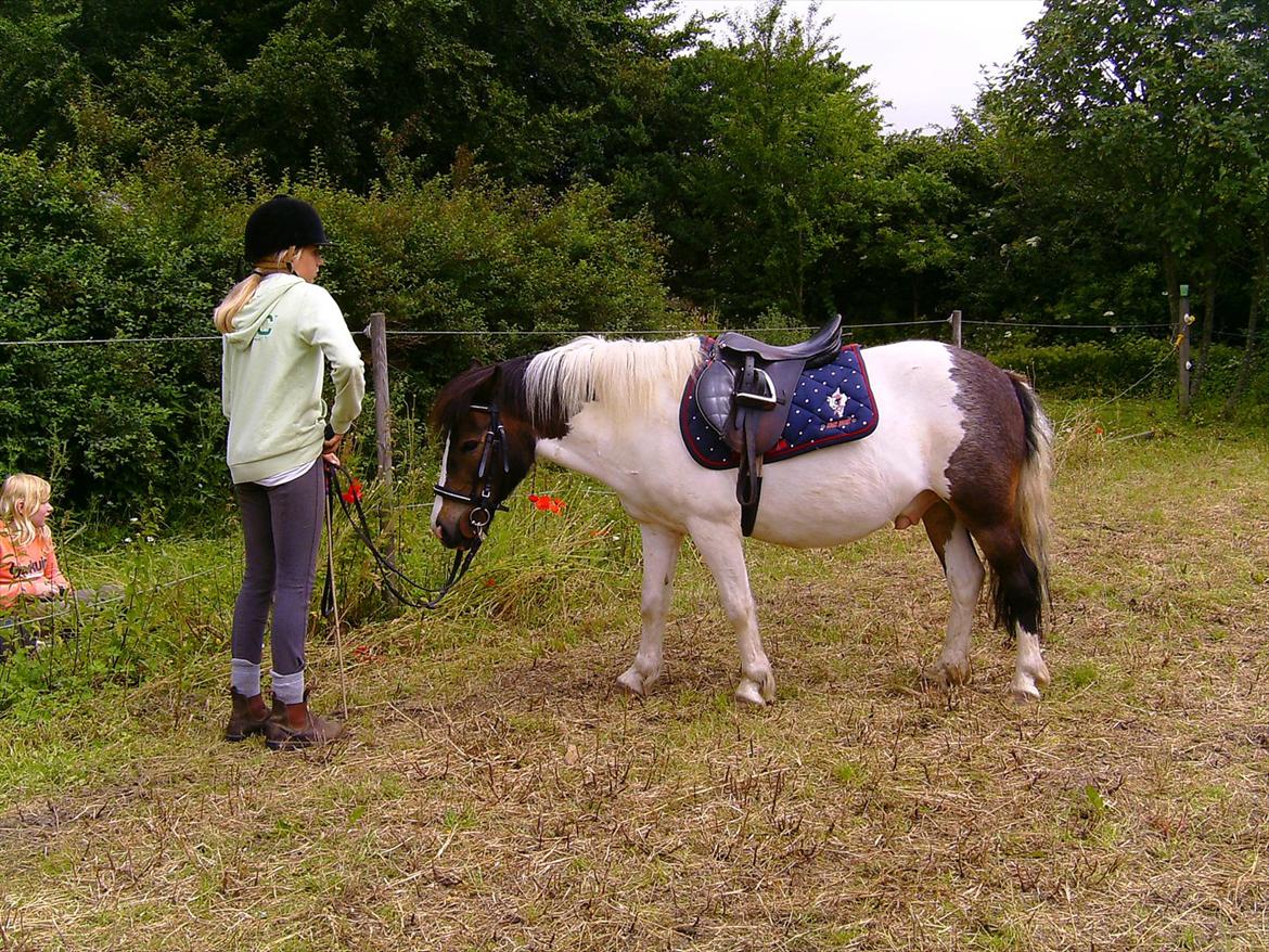 Ridelejre hos Mette Hald Ramussen billede 100