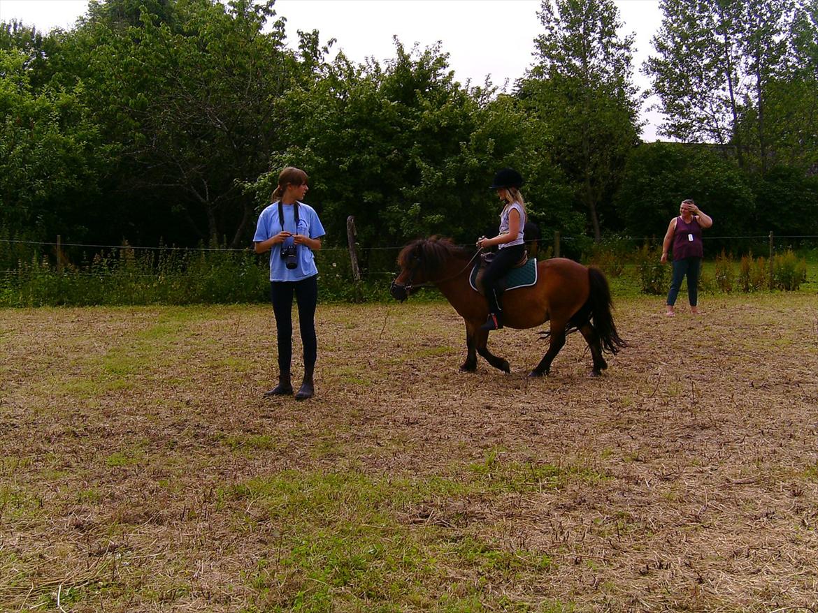 Ridelejre hos Mette Hald Ramussen billede 101