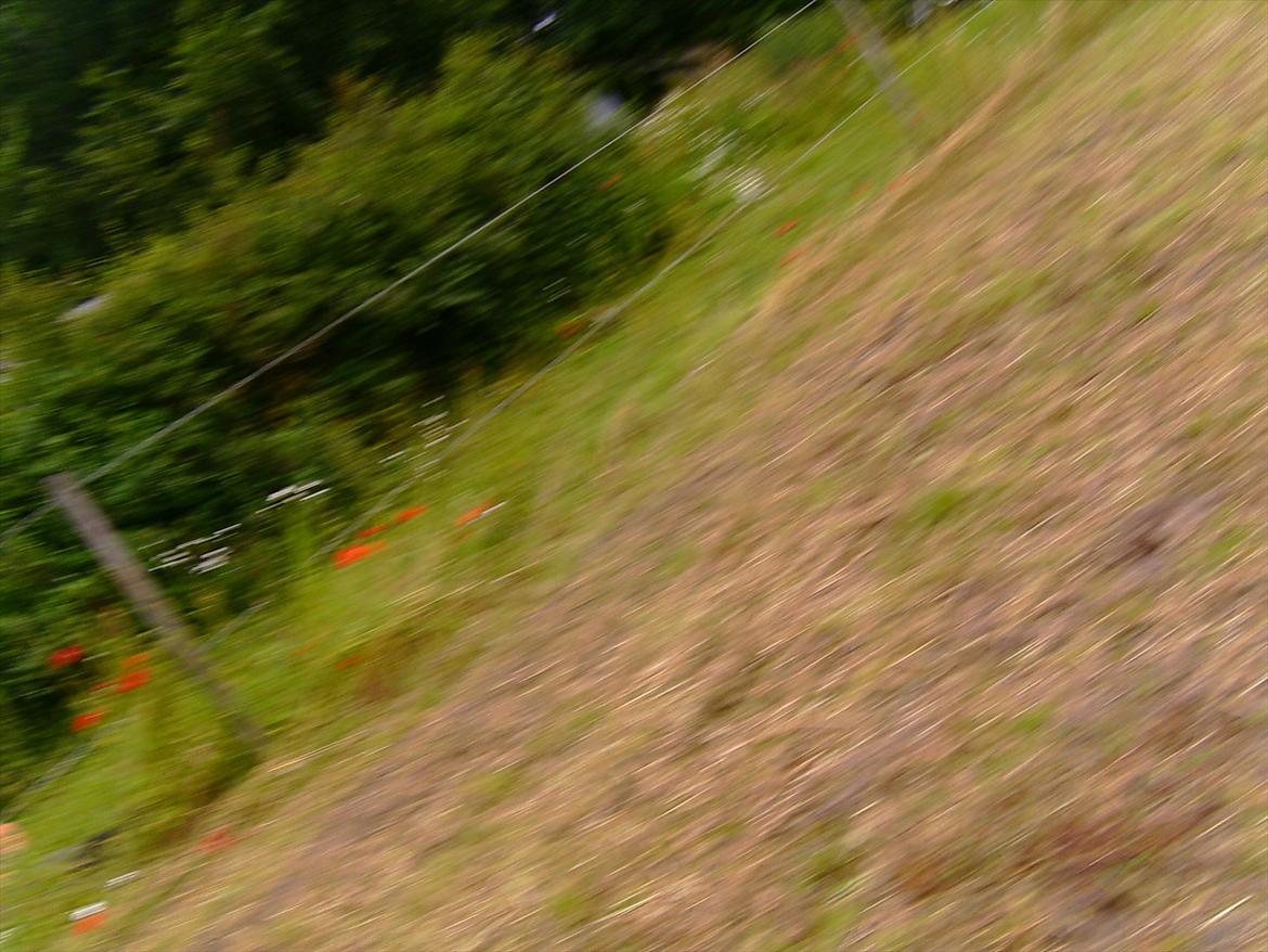 Ridelejre hos Mette Hald Ramussen billede 102