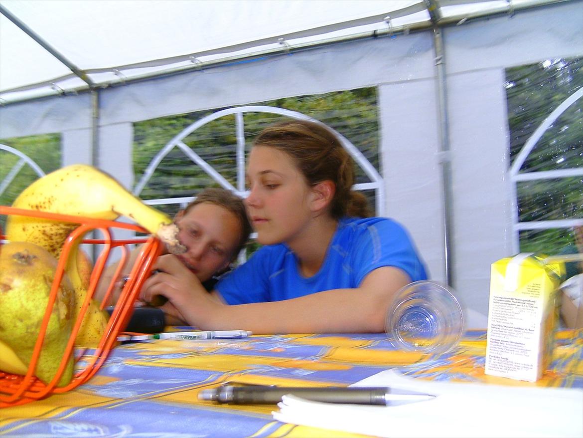 Ridelejre hos Mette Hald Ramussen billede 106