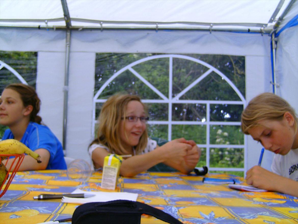 Ridelejre hos Mette Hald Ramussen billede 109