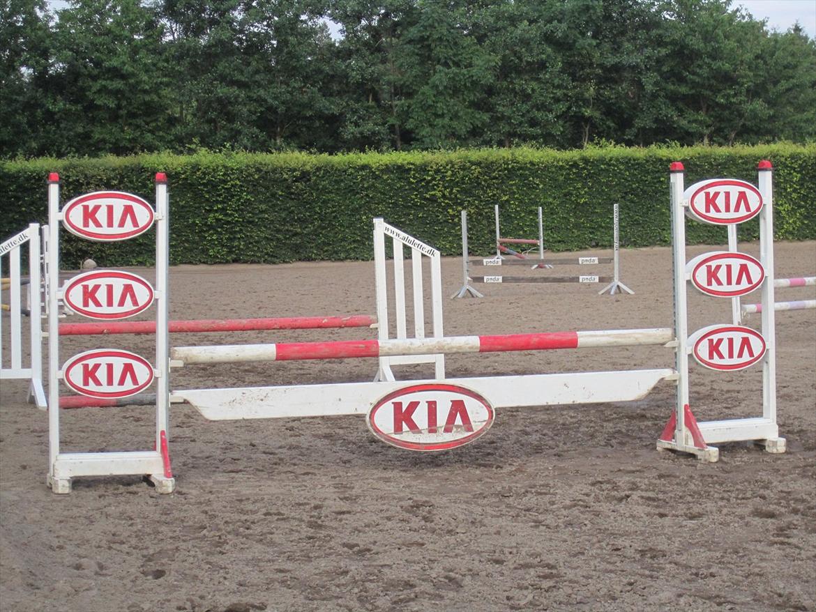 Ridelejr 2011 - Tina Lund billede 63