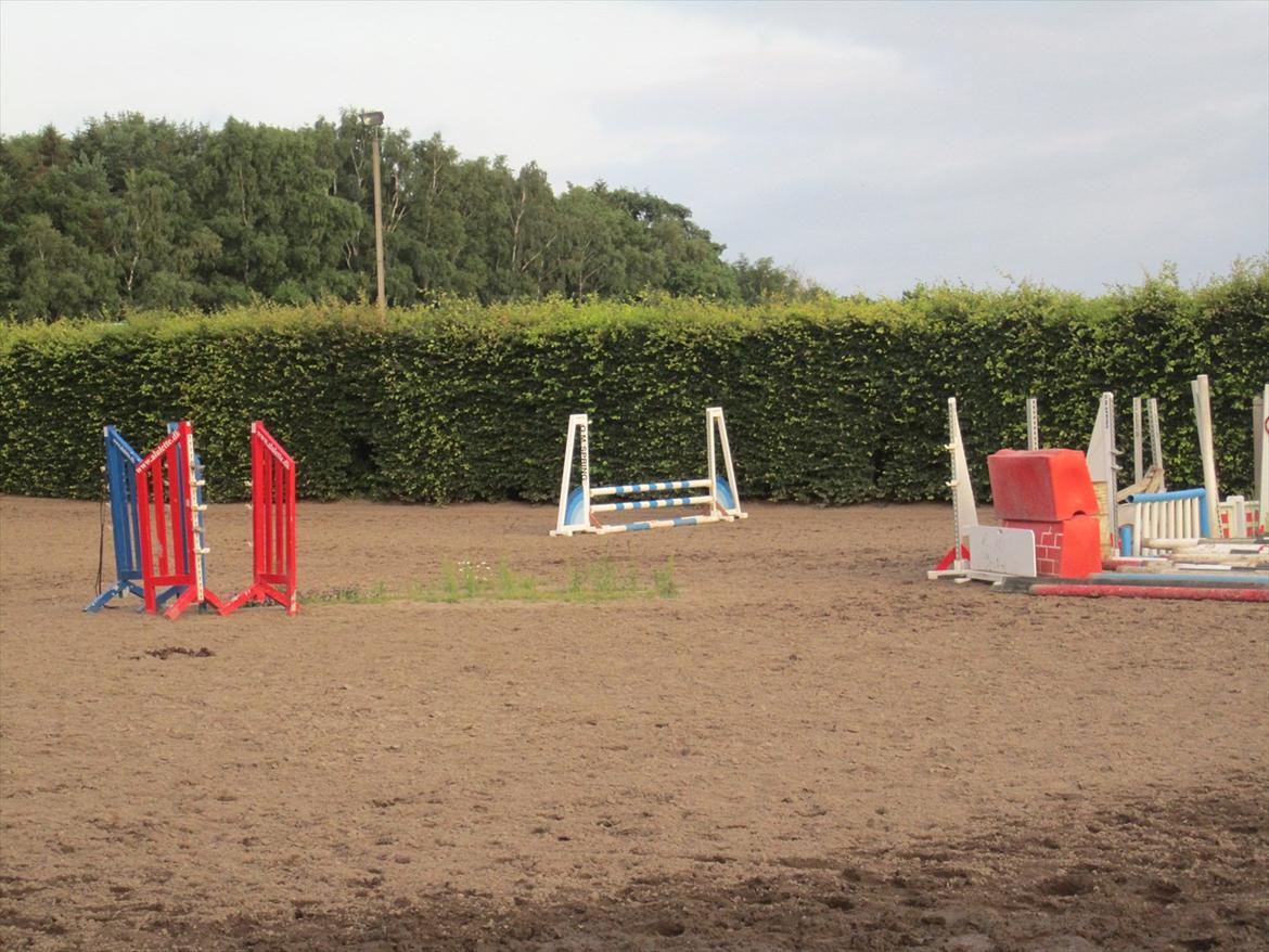 Ridelejr 2011 - Tina Lund billede 64