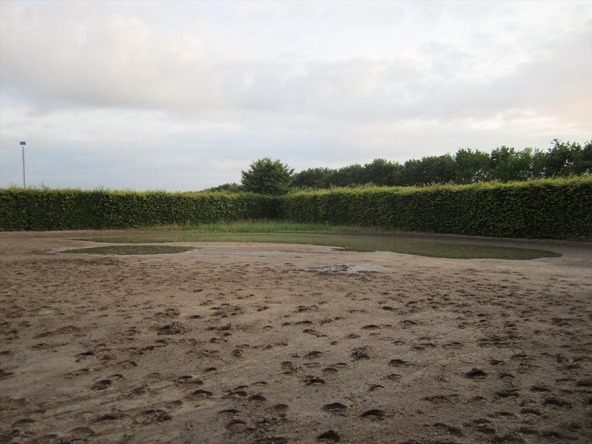 Ridelejr 2011 - Tina Lund - Stooor vandpyt ;b billede 65