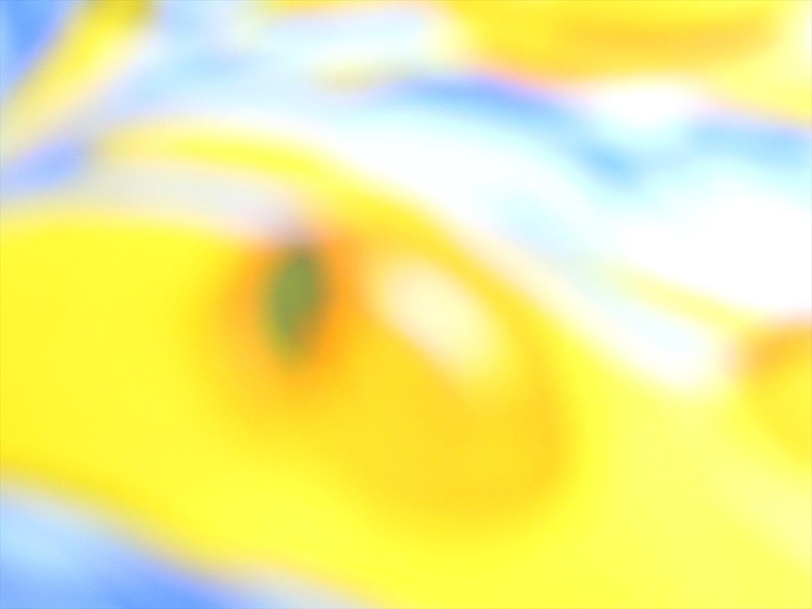 Ridelejre hos Mette Hald Ramussen billede 118