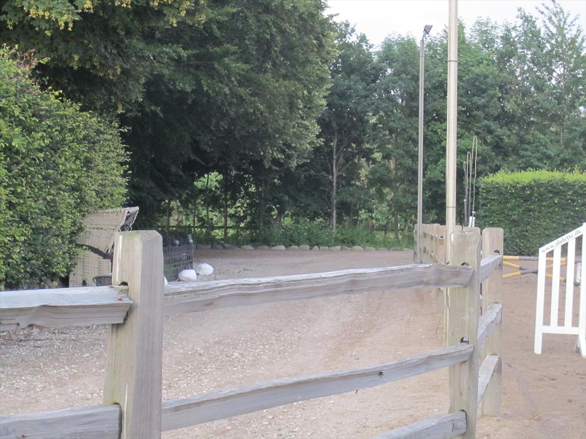 Ridelejr 2011 - Tina Lund - Fra indkørslen ned til banen ;) billede 66