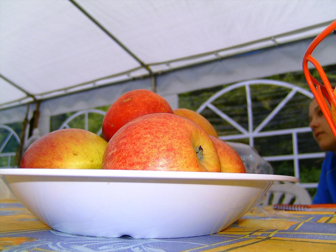 Ridelejre hos Mette Hald Ramussen billede 119