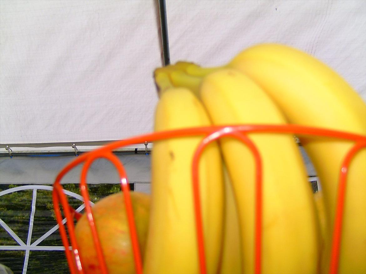 Ridelejre hos Mette Hald Ramussen billede 120