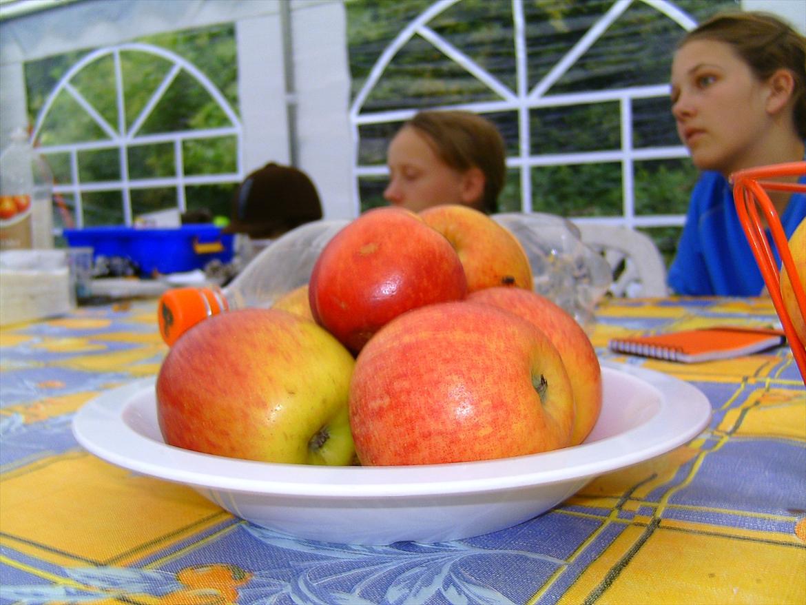 Ridelejre hos Mette Hald Ramussen billede 121