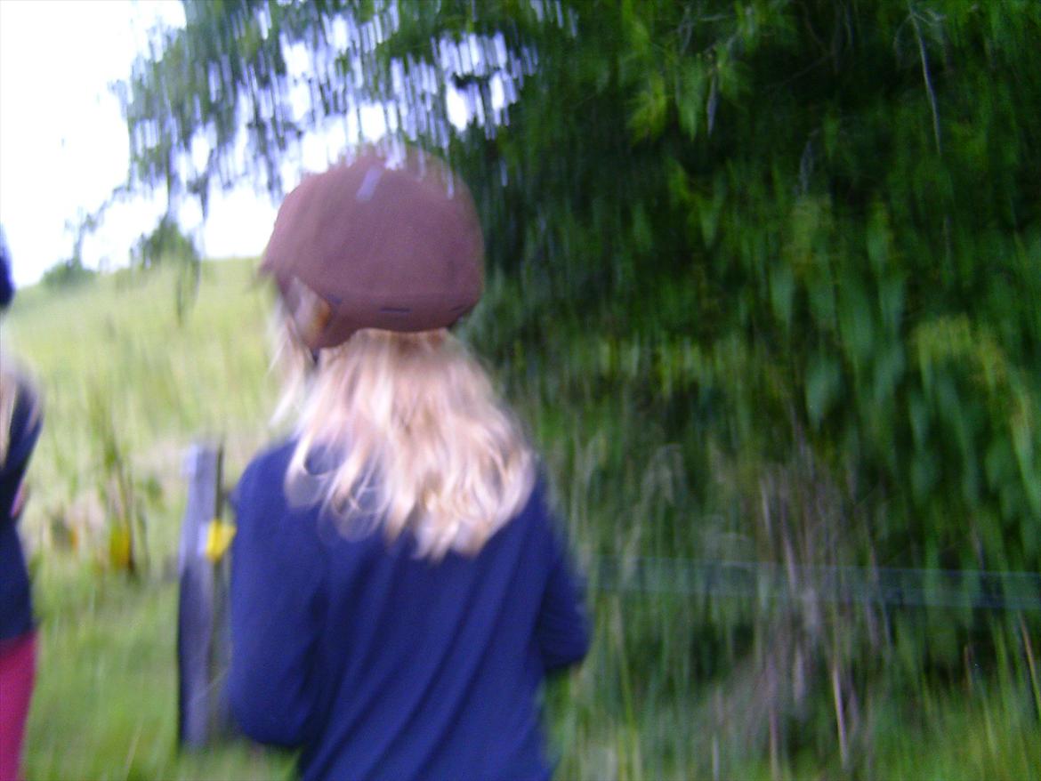 Ridelejre hos Mette Hald Ramussen billede 122