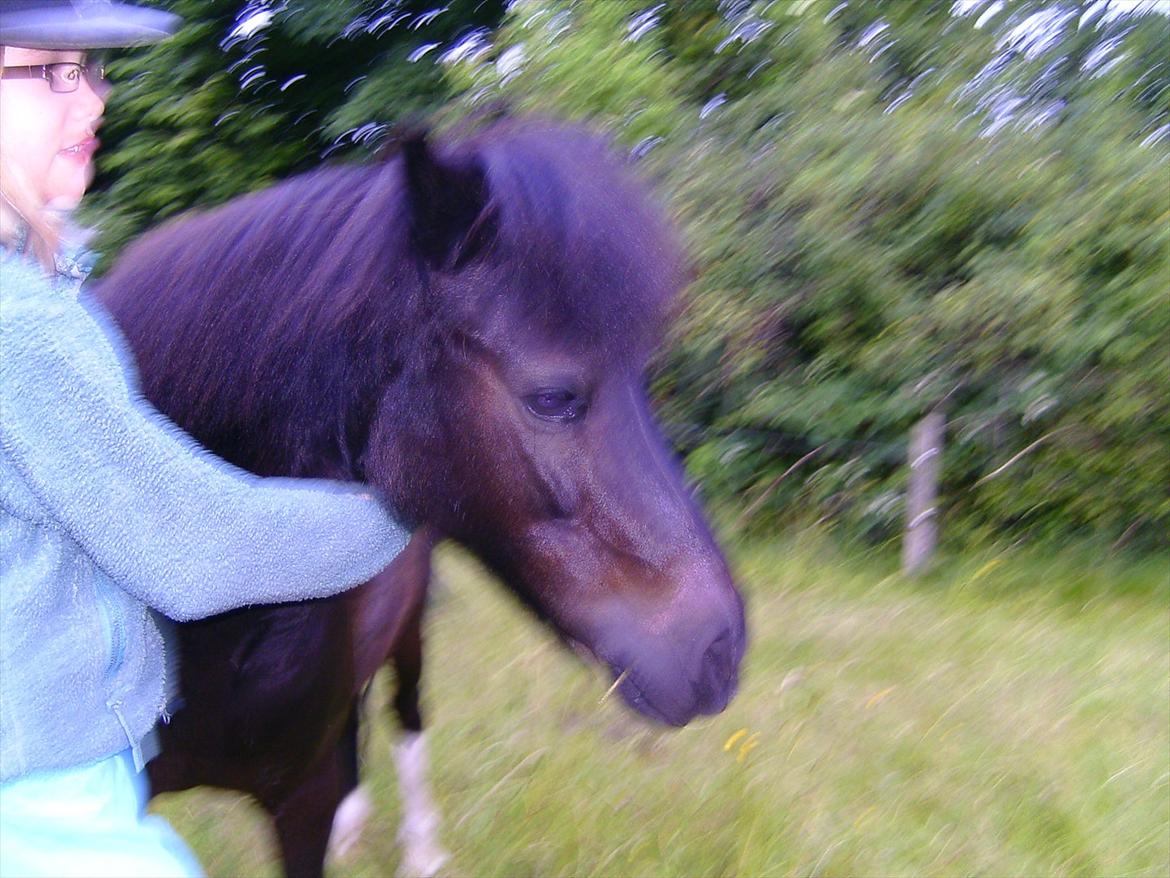 Ridelejre hos Mette Hald Ramussen billede 125