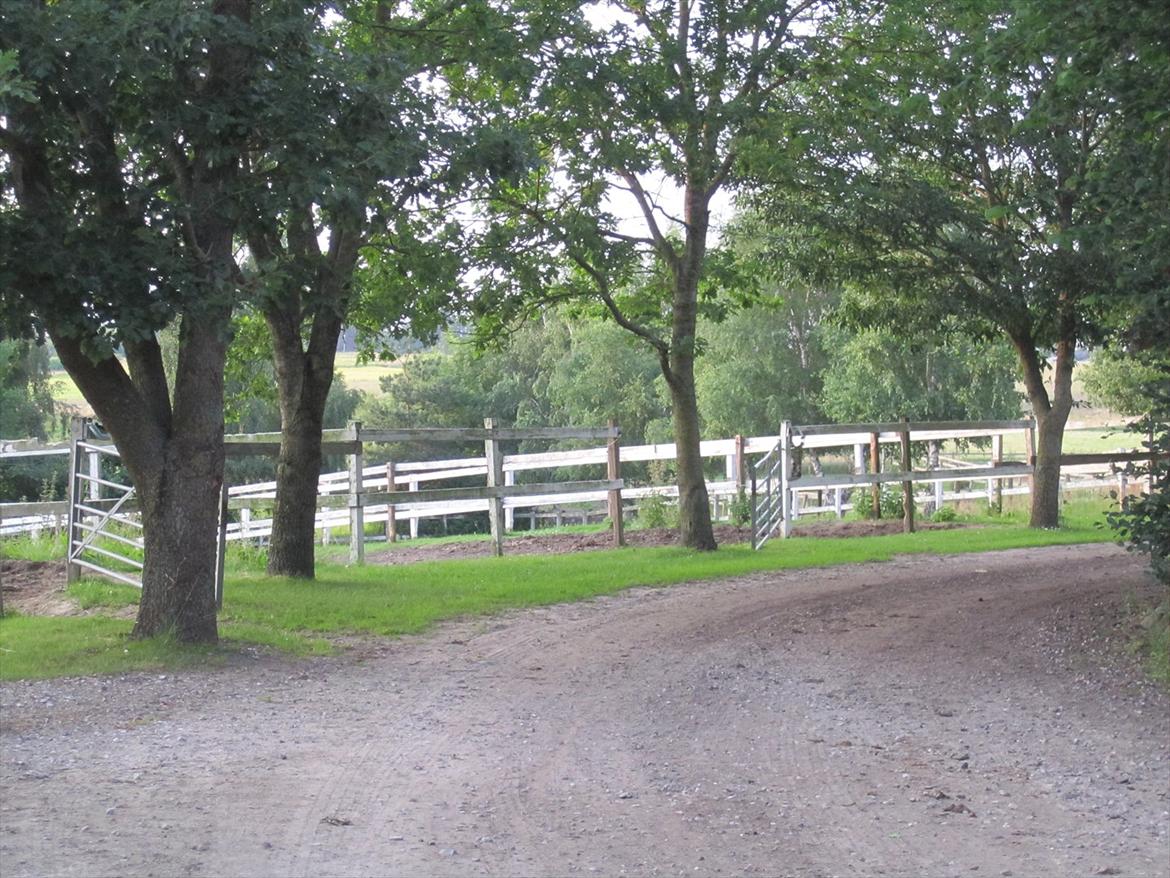 Ridelejr 2011 - Tina Lund - De fine folde billede 70