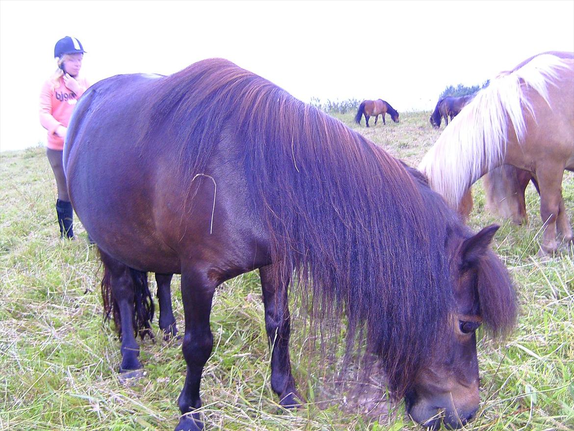 Ridelejre hos Mette Hald Ramussen billede 139
